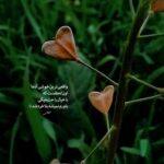 دانلود آهنگ هنوزم میون من و تو یه عشق کوتاهه